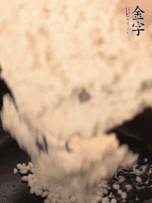 浸泡半天的糯米電飯鍋煮熟。